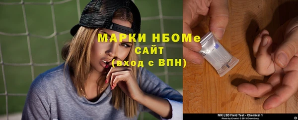 соль ск Алексин