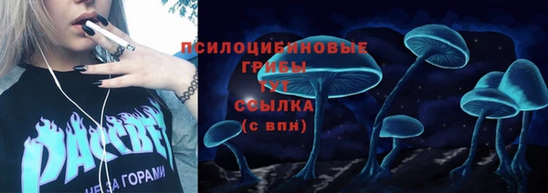 соль ск Алексин