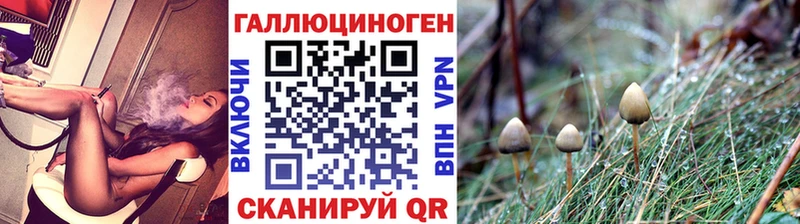 Псилоцибиновые грибы Psilocybe Рыбинск